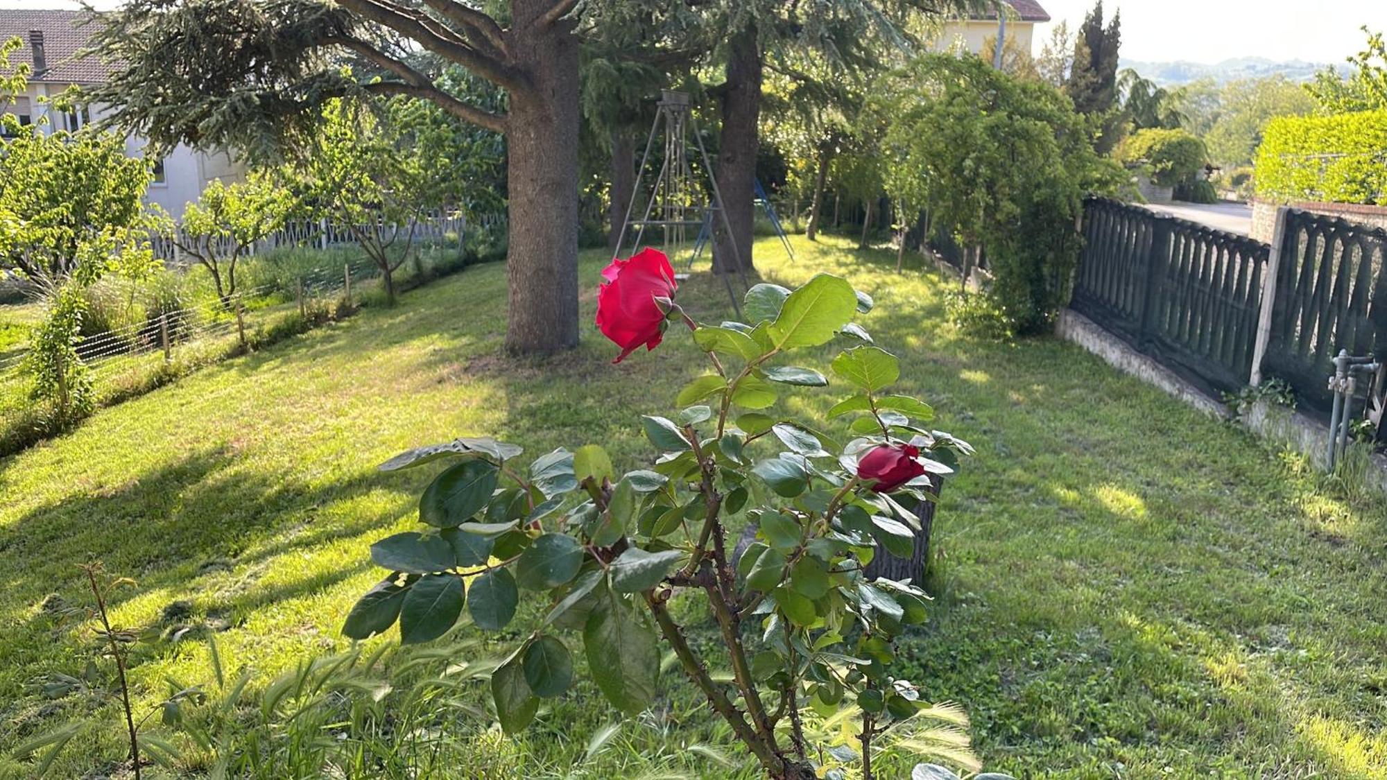 Room In Bb - Casa T Home Bed And Breakfast Tagliolo Monferrato Esterno foto